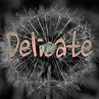 Delicate - Full Cover cover
